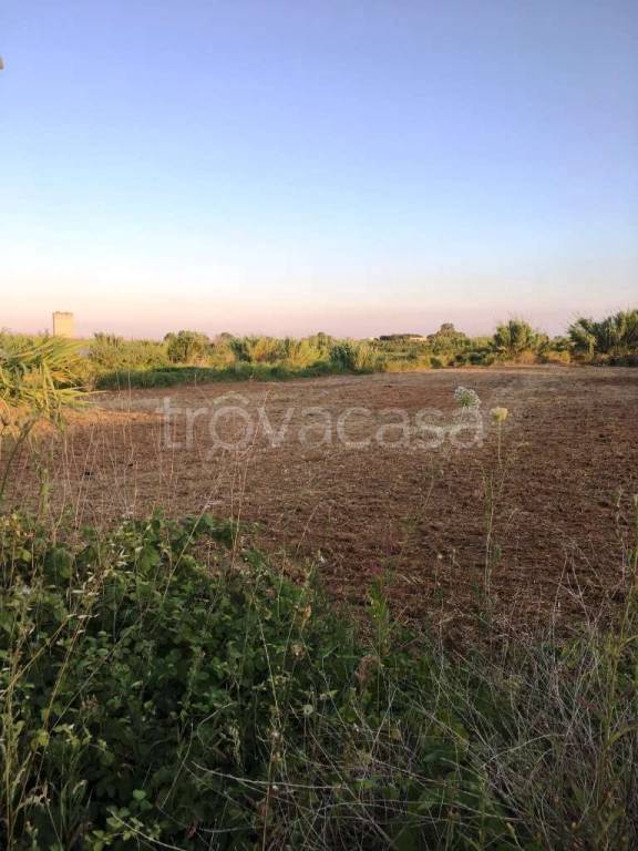 Terreno Agricolo in vendita a Mondragone via s. Pertini