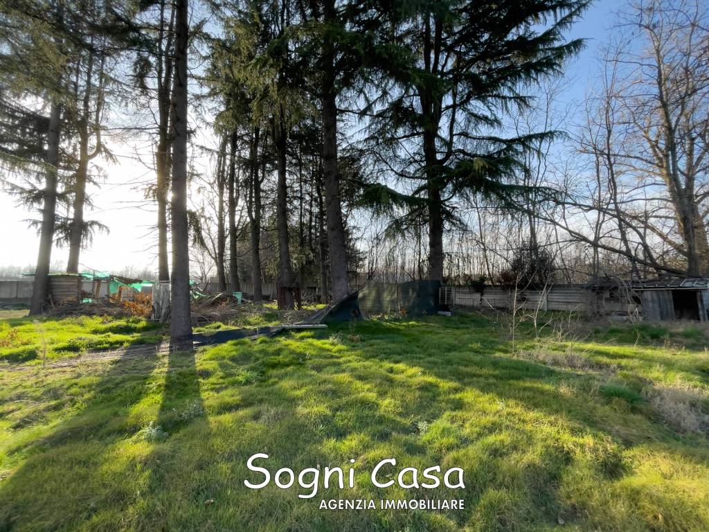 immagine annuncio 4 di 11
