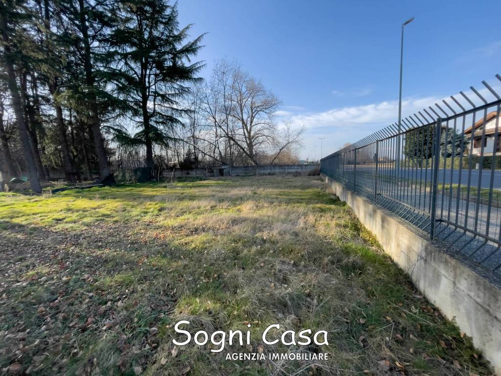 immagine annuncio 8 di 11
