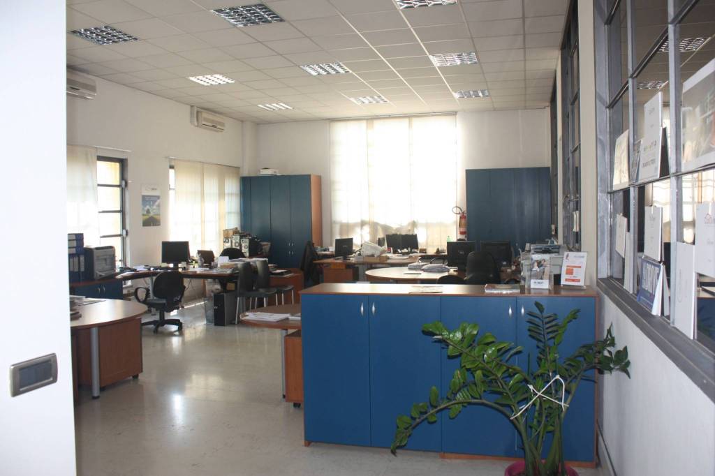 immagine annuncio 3 di 8