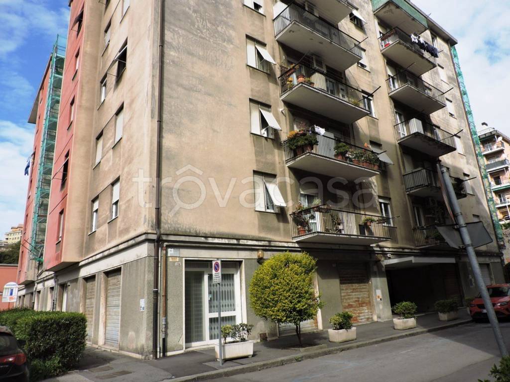 Appartamento in vendita a Genova via Faliero Vezzani, 42