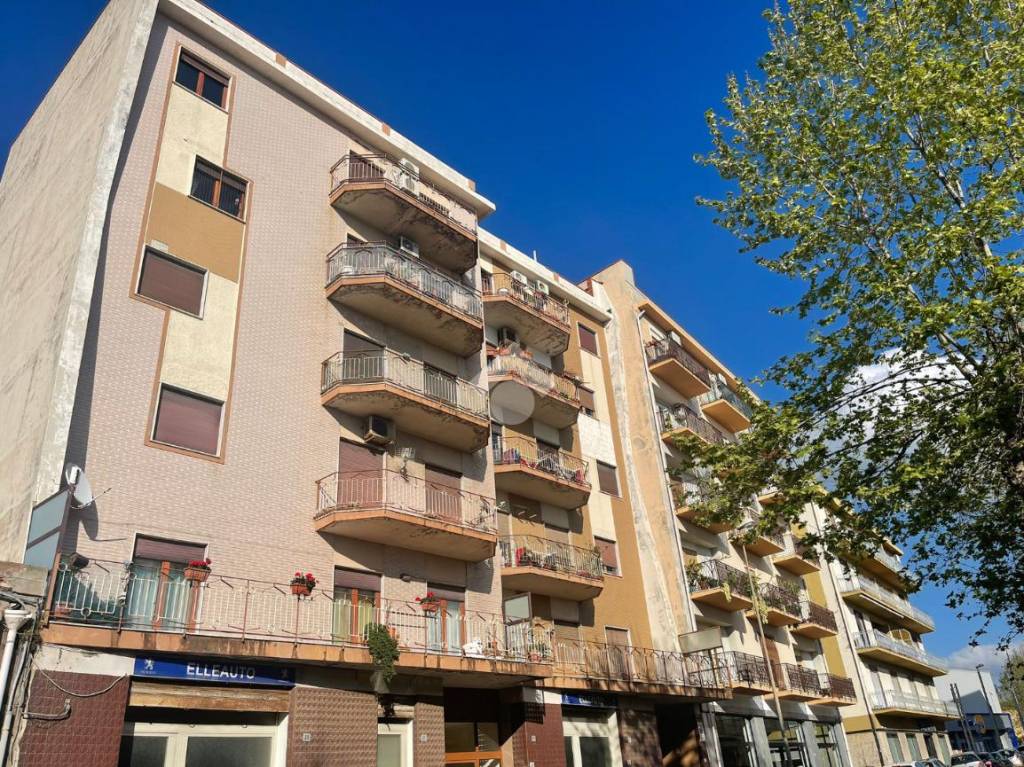 immagine annuncio 4 di 6