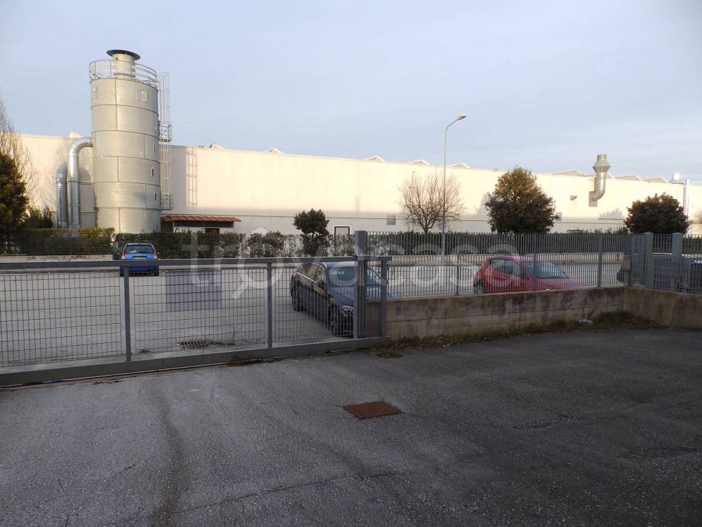 immagine annuncio 8 di 11