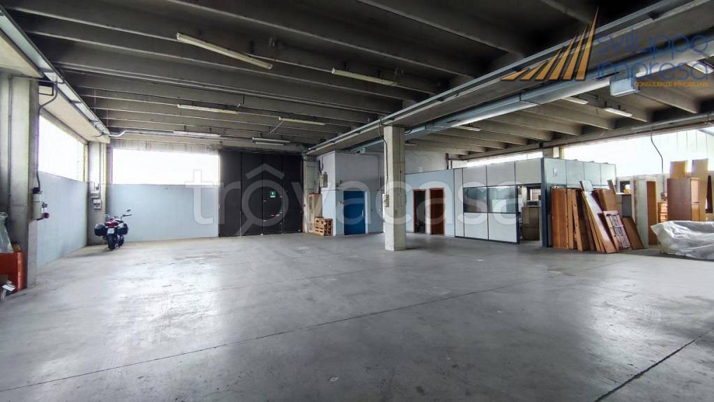 immagine annuncio 2 di 15