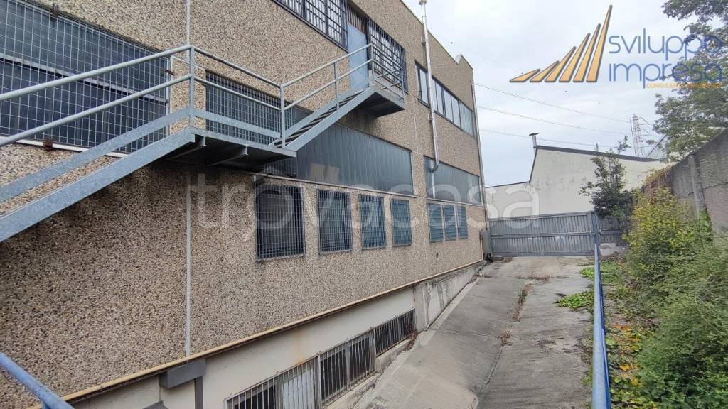 immagine annuncio 12 di 15