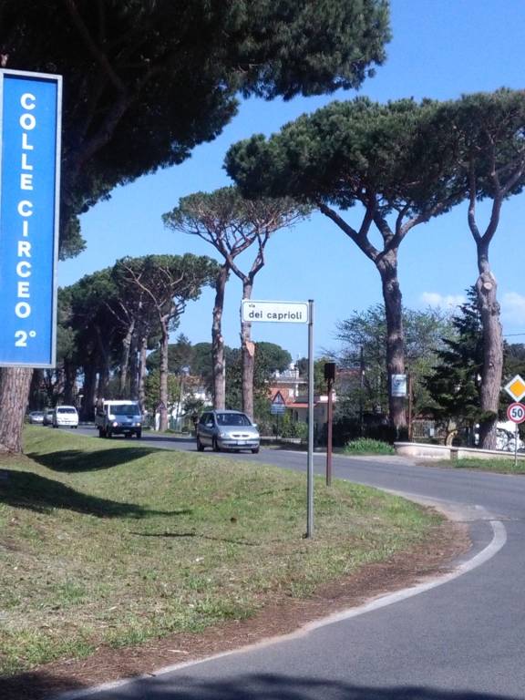 immagine annuncio 2 di 14
