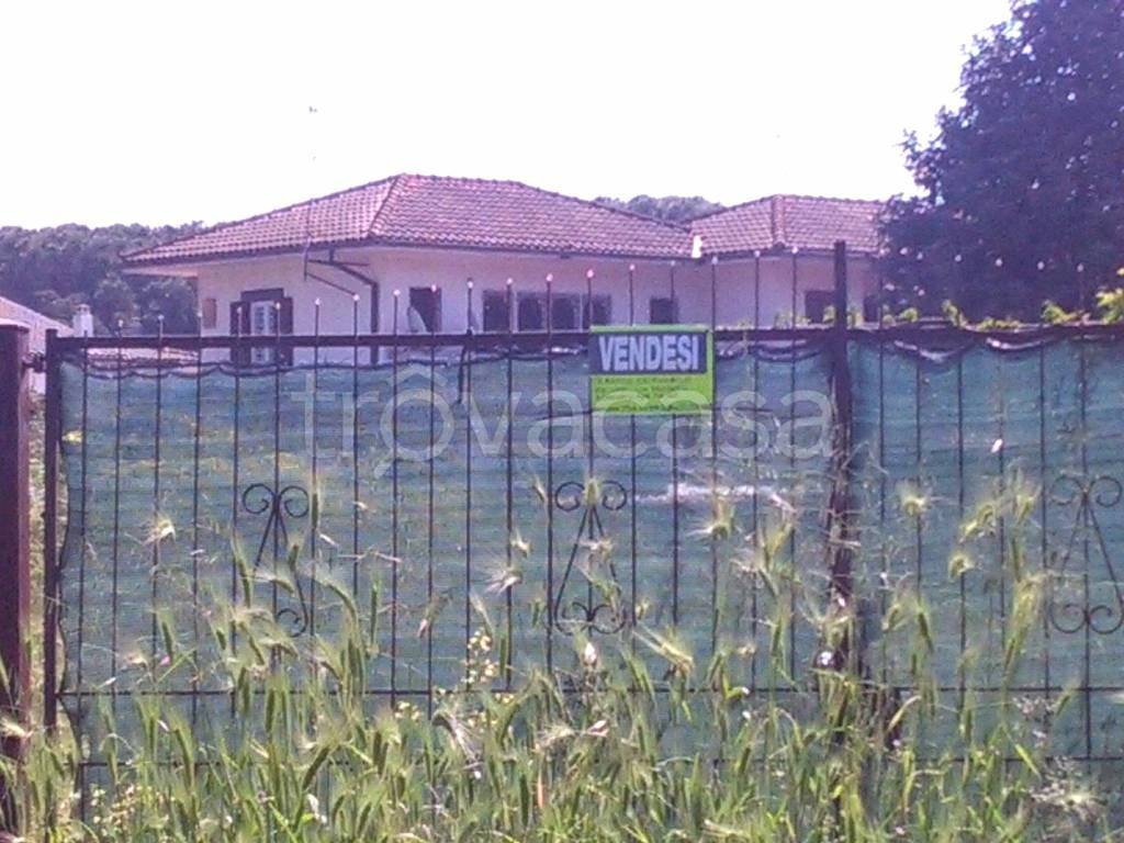 immagine annuncio 11 di 14