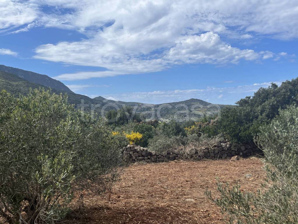 immagine annuncio 6 di 8