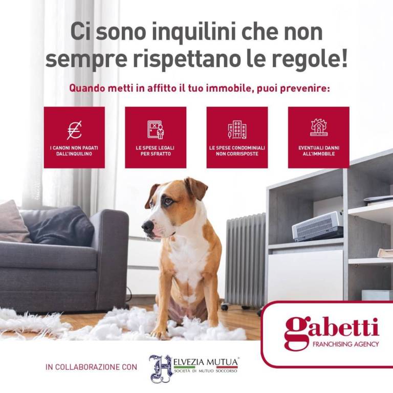 immagine annuncio 3 di 4