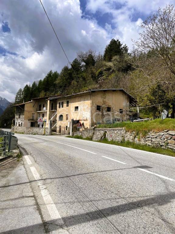 immagine annuncio 12 di 14