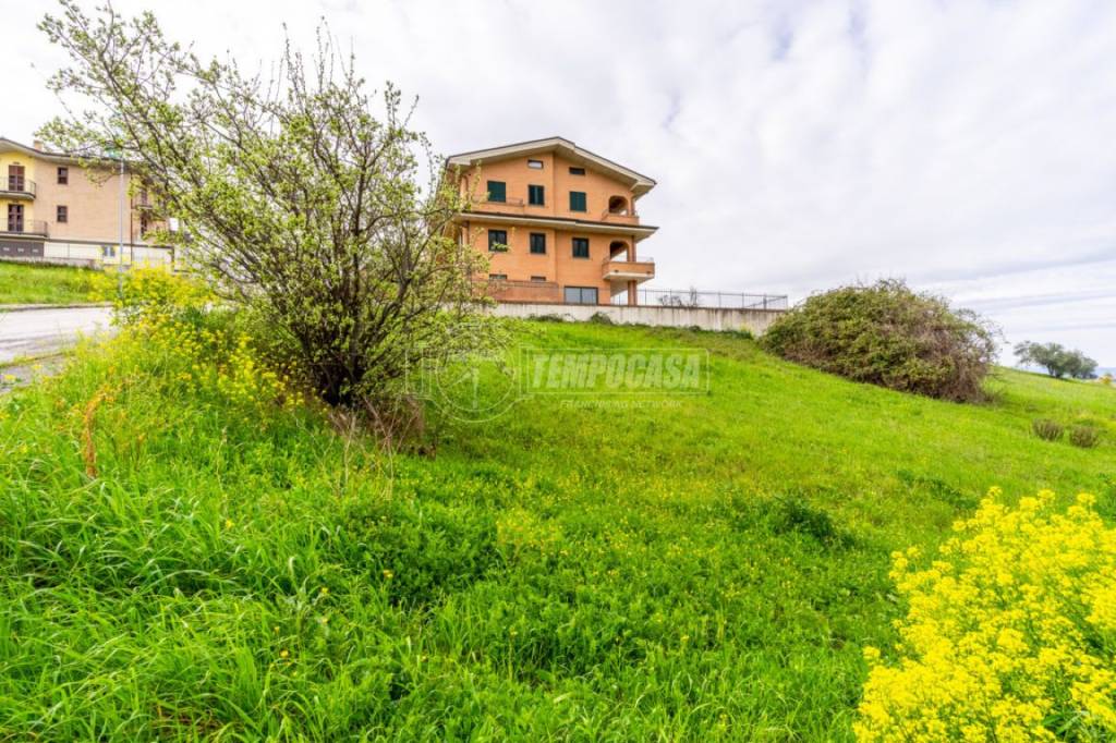immagine annuncio 6 di 13
