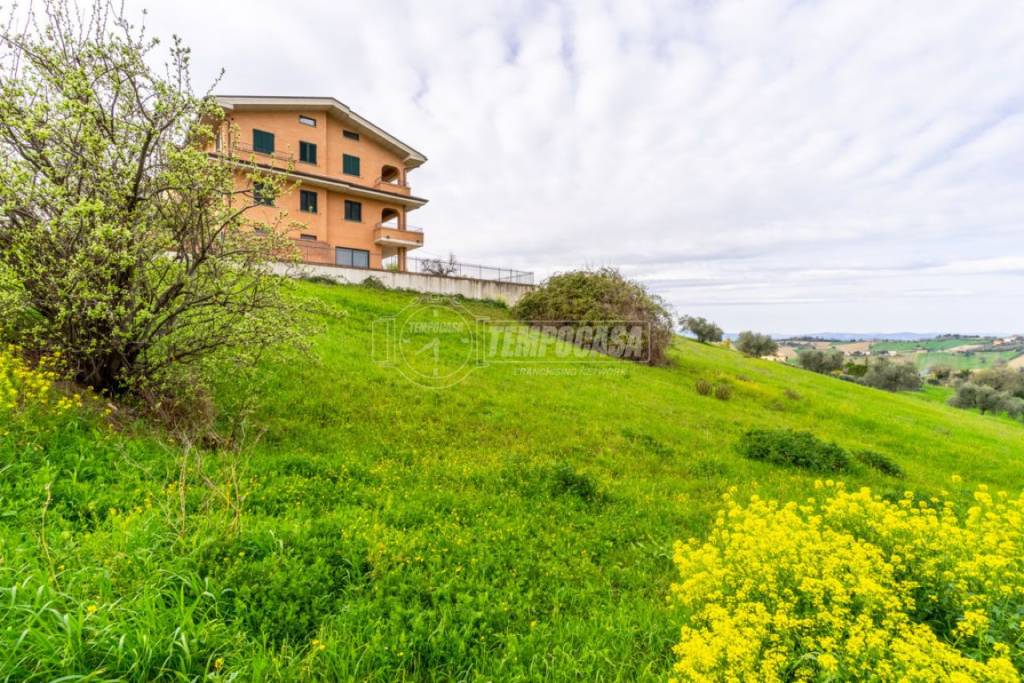 immagine annuncio 7 di 13