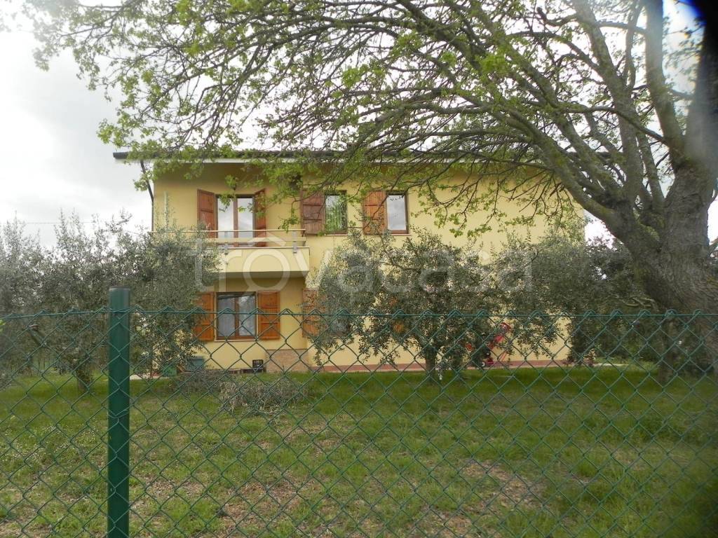 Appartamento in vendita a Trecastelli via del Bosco, 3