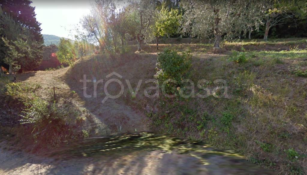 immagine annuncio 4 di 6