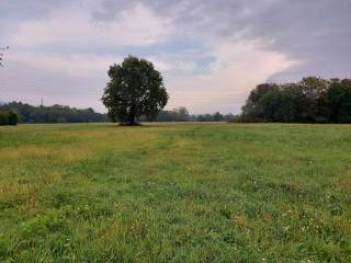 Terreno agricolo in vendita a candelo via del cervo, 26