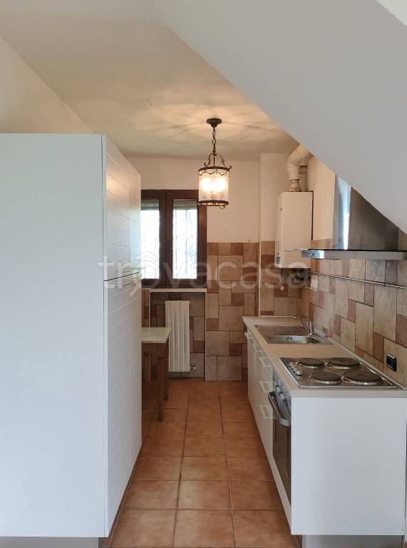 immagine annuncio 7 di 14