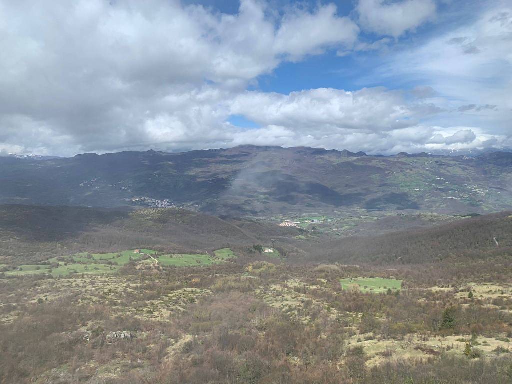 immagine annuncio 7 di 11