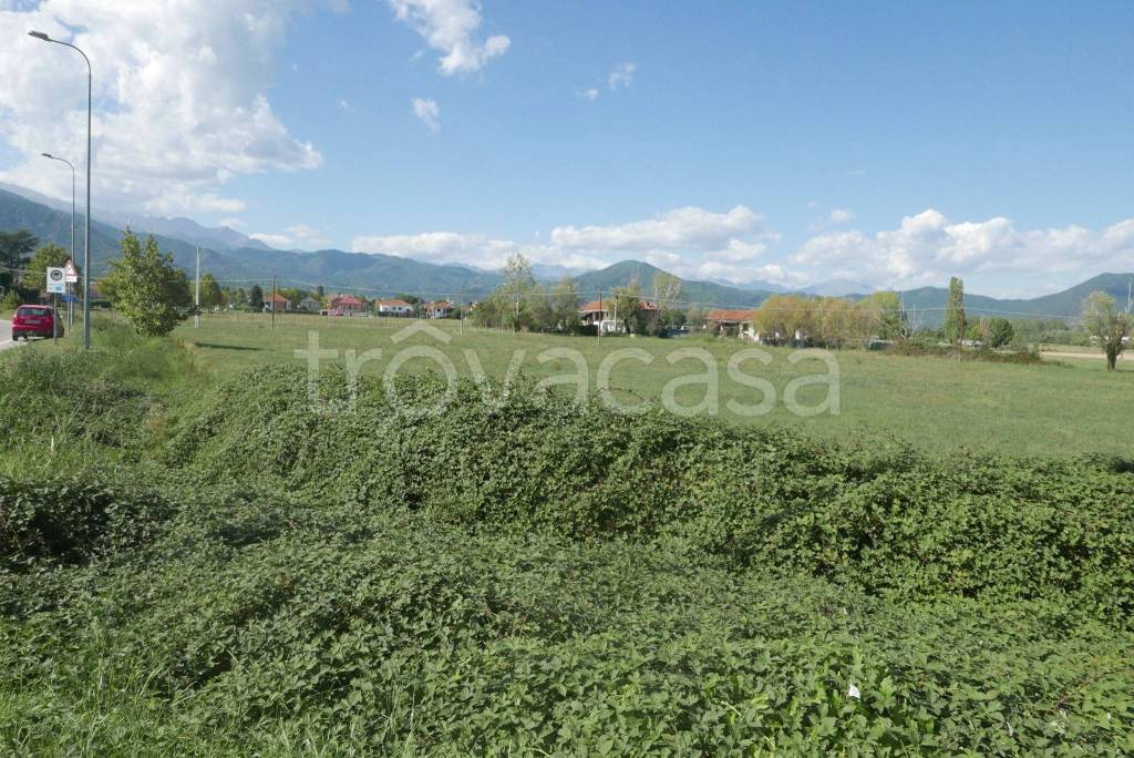 immagine annuncio 2 di 14