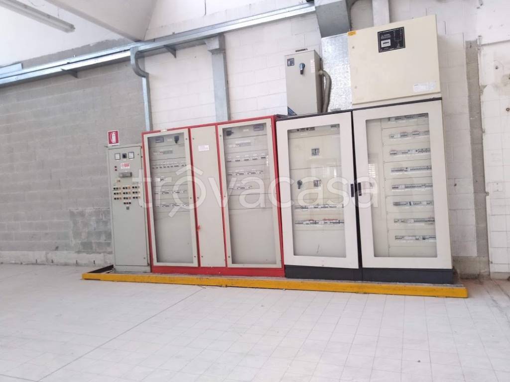 immagine annuncio 11 di 15