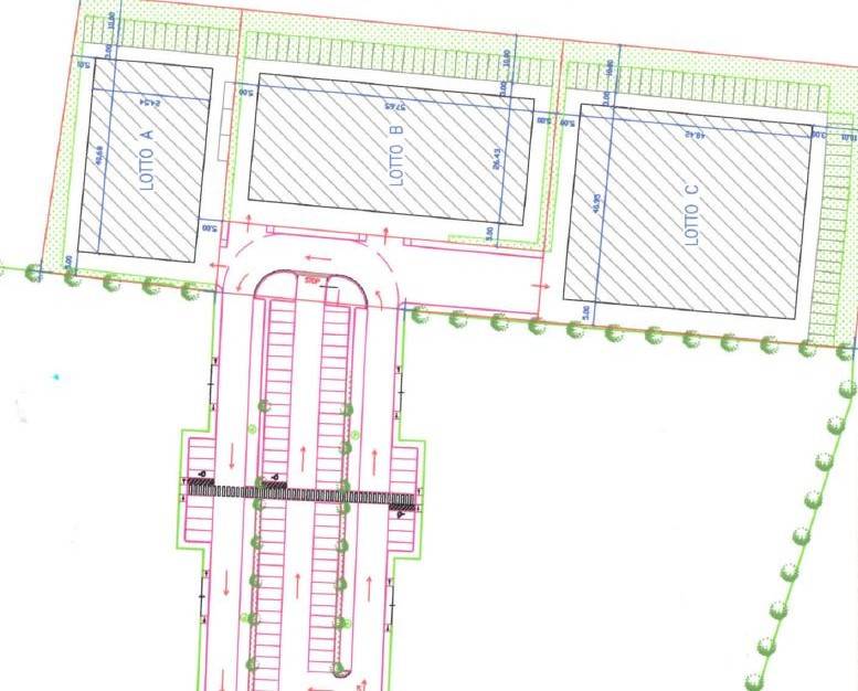 immagine annuncio 2 di 7