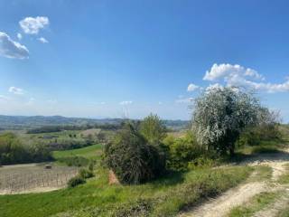 Terreno residenziale in vendita a mongardino localita s.pietro