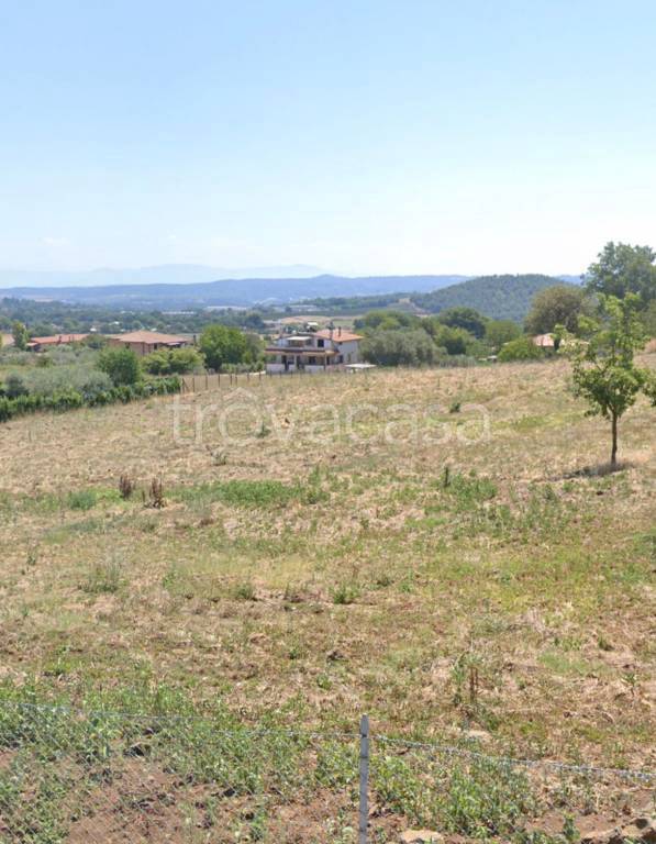 Terreno Agricolo in affitto a Monterosi via Francesco di Anastasio Severini, 25
