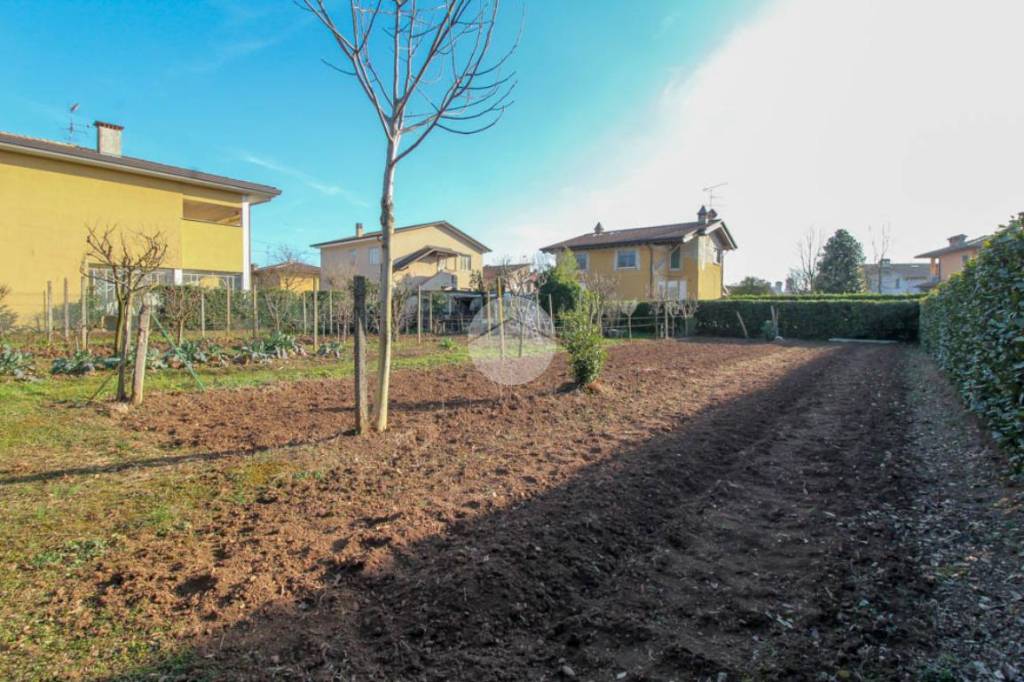 immagine annuncio 9 di 12