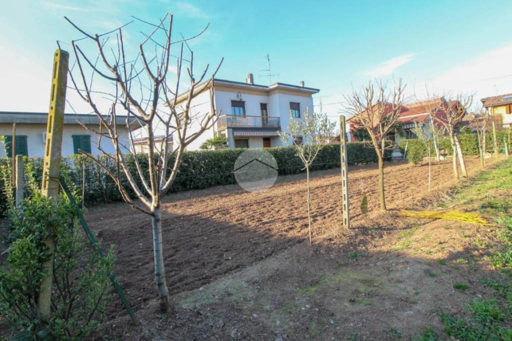 immagine annuncio 11 di 12