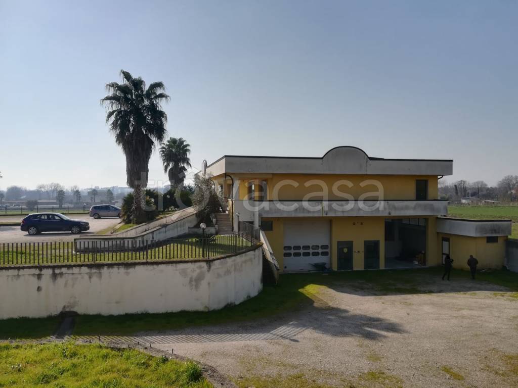 Negozio in affitto a Villa Santa Lucia strada Regionale Casilina