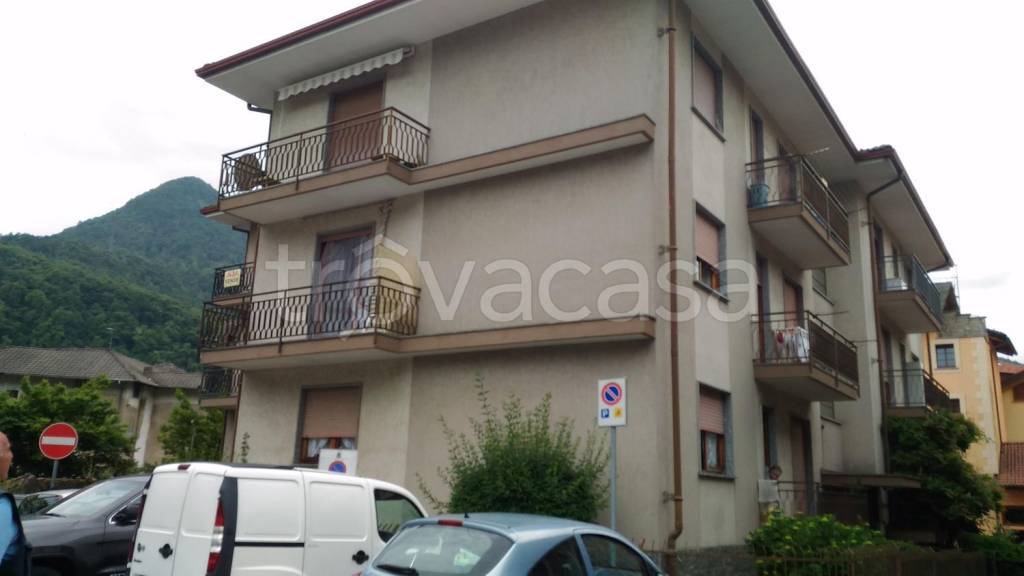 immagine annuncio 2 di 14