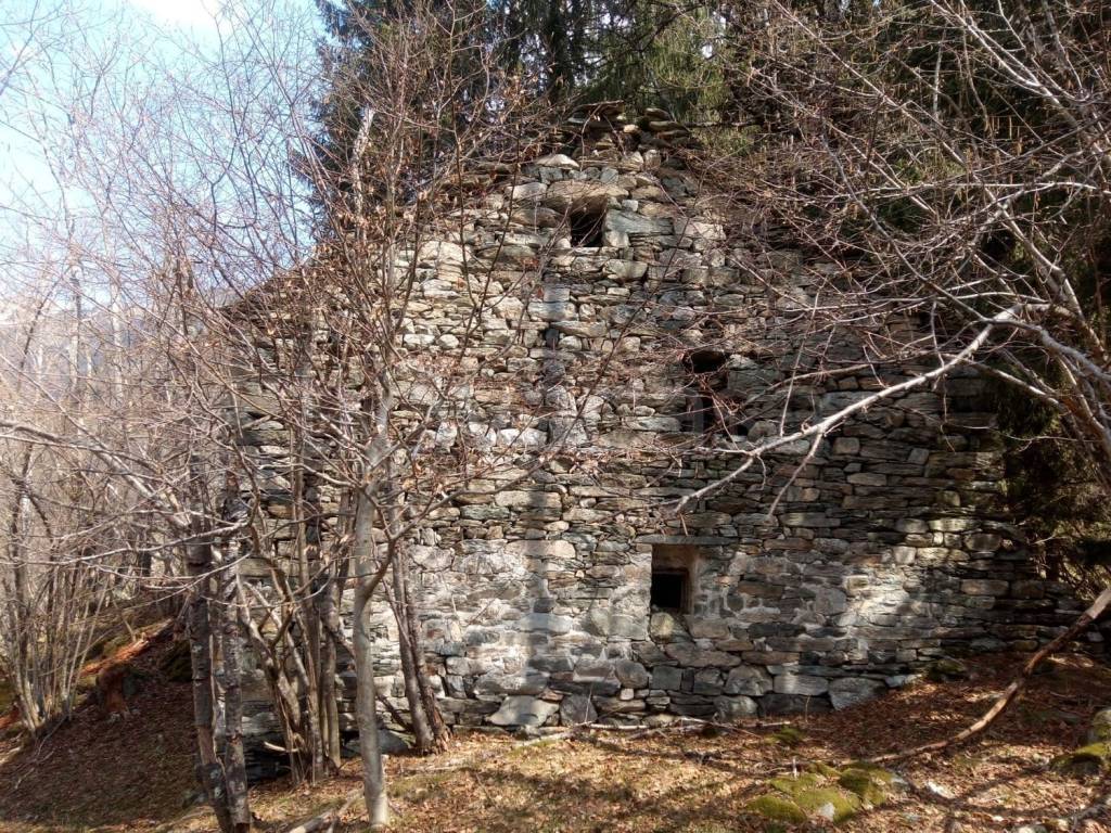 immagine annuncio 7 di 13