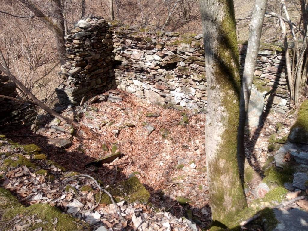 immagine annuncio 2 di 13