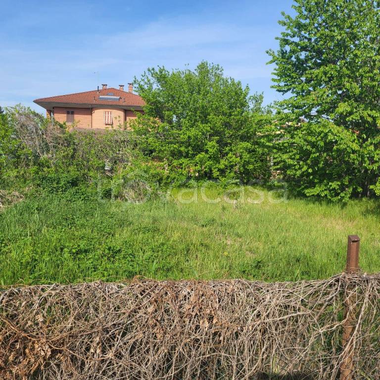immagine annuncio 2 di 6