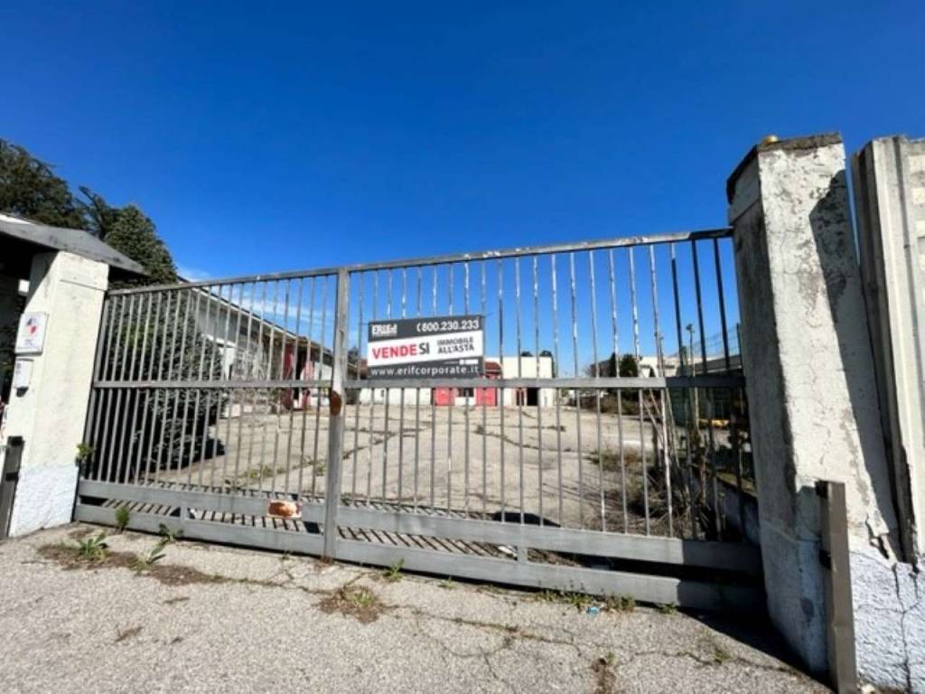 immagine annuncio 2 di 14