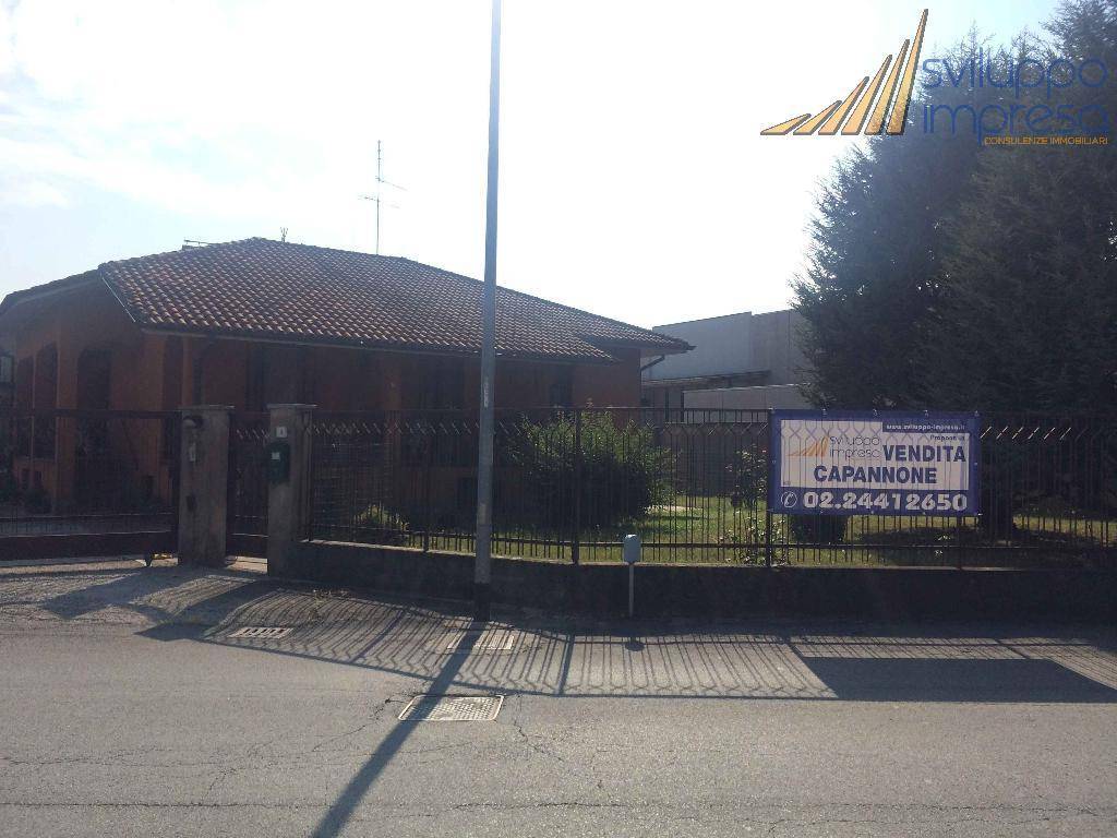 immagine annuncio 12 di 15