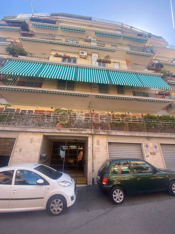 immagine annuncio 11 di 14