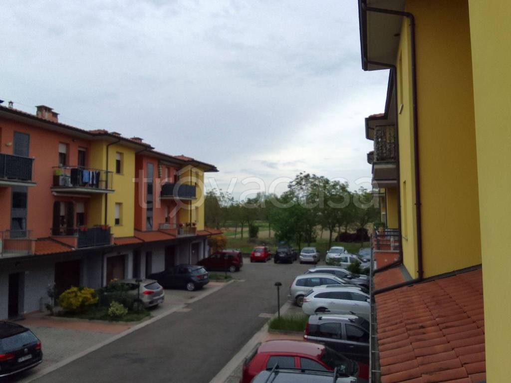 Appartamento in in vendita da privato a Castelfranco Emilia via per Riolo