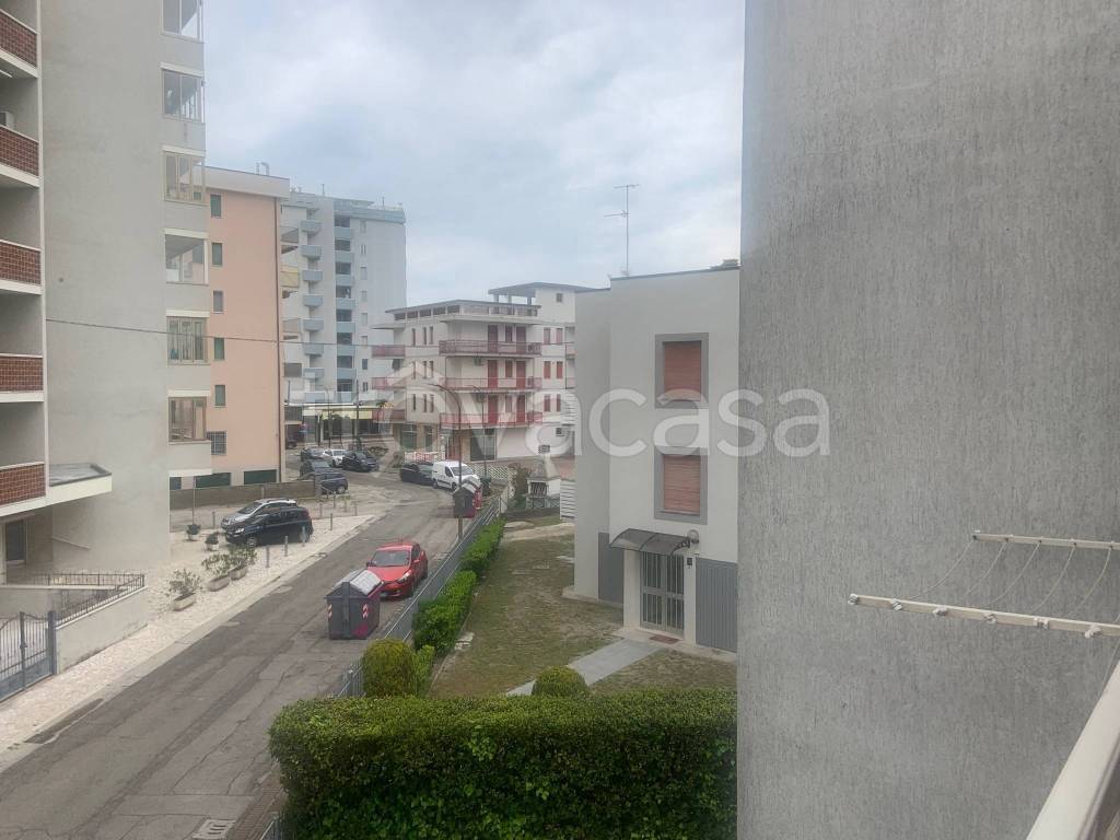 immagine annuncio 4 di 14