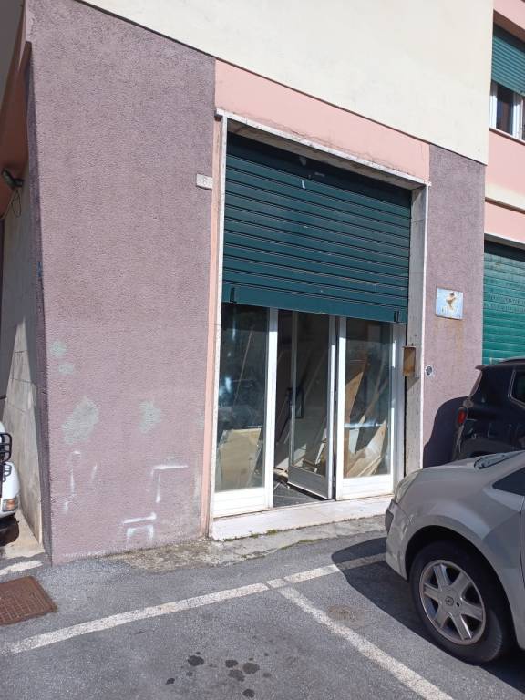 immagine annuncio 3 di 7