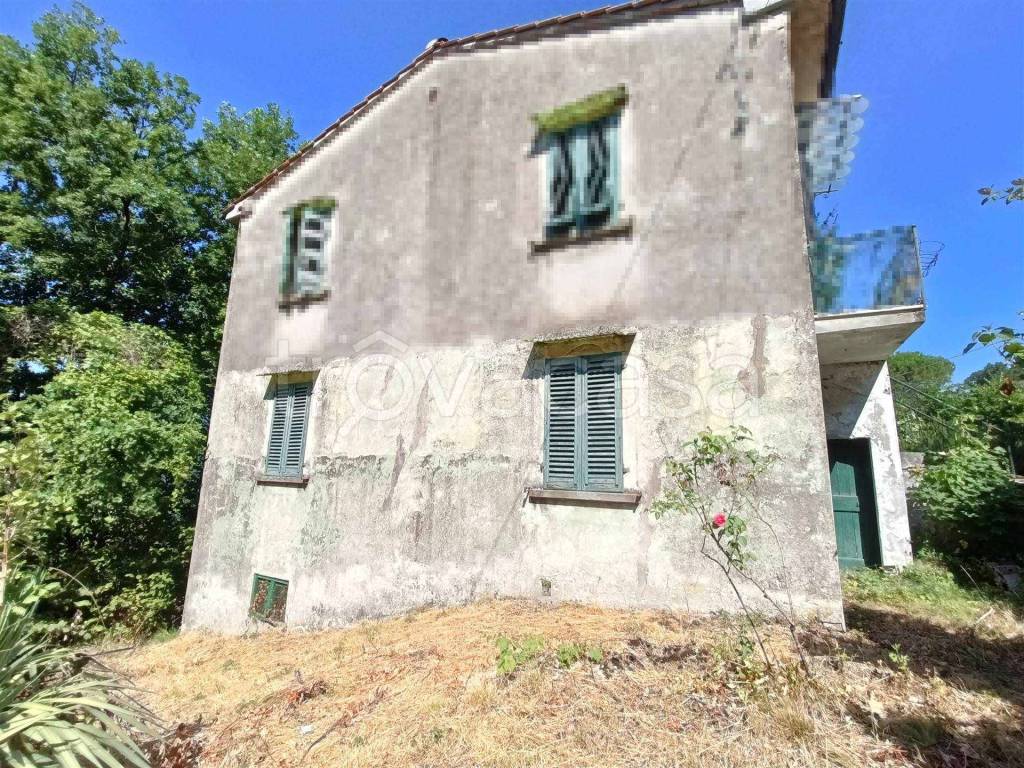 immagine annuncio 4 di 7