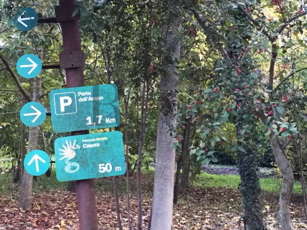 immagine annuncio 11 di 12
