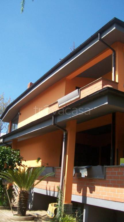 immagine annuncio 3 di 11