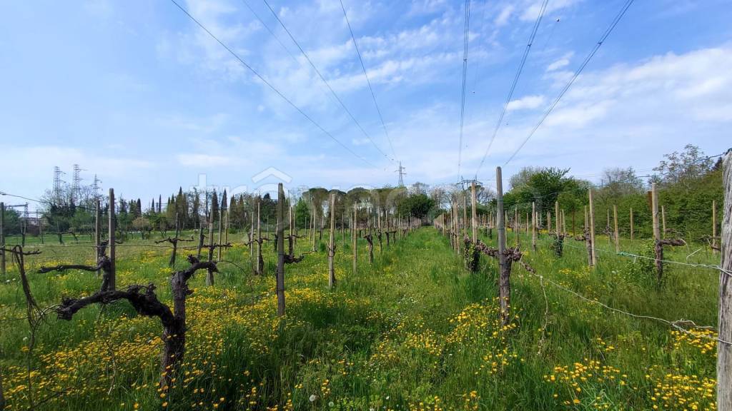 Terreno Agricolo in vendita a Fogliano Redipuglia via Marinai d'Italia