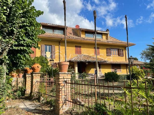 immagine annuncio 5 di 11