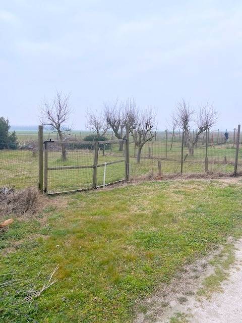 immagine annuncio 3 di 11