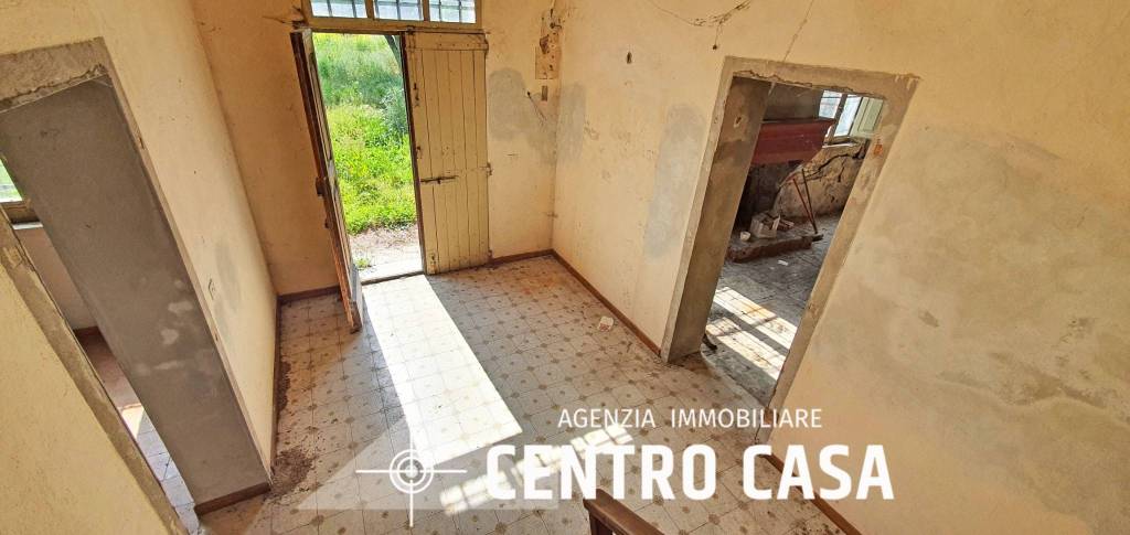 immagine annuncio 4 di 7