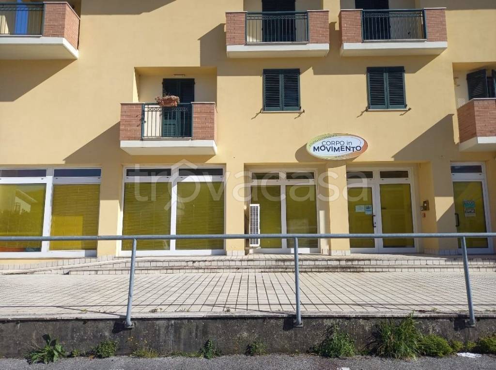 Centro Estetico/Solarium/Benessere in in affitto da privato a Offida via Palmiro Togliatti, 53