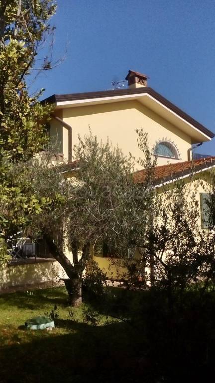 Villa Bifamiliare in affitto a Camaiore