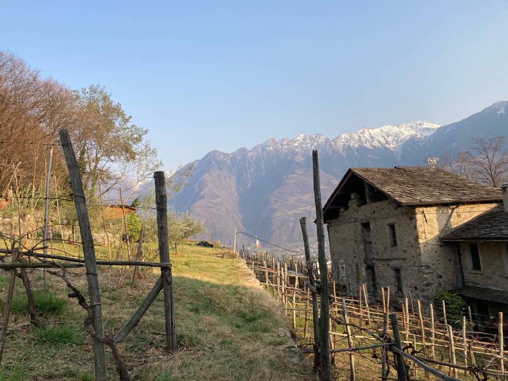 immagine annuncio 6 di 12
