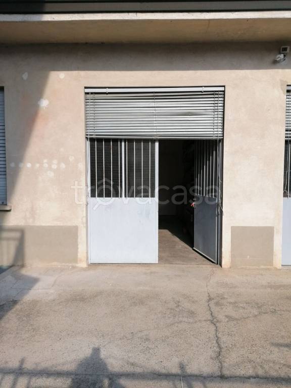 immagine annuncio 1 di 12